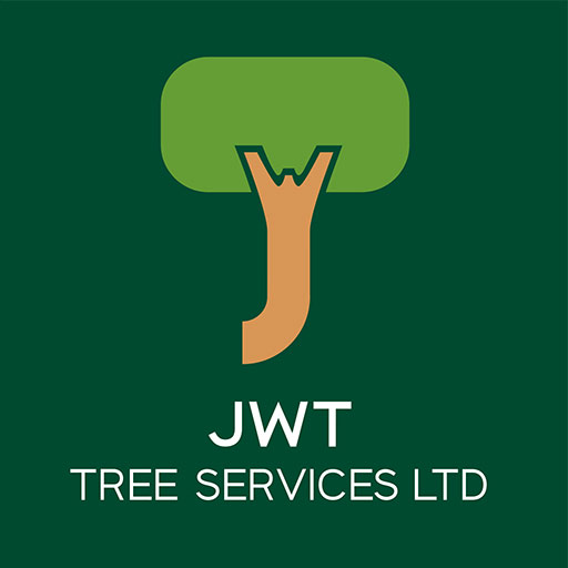 JWT logo