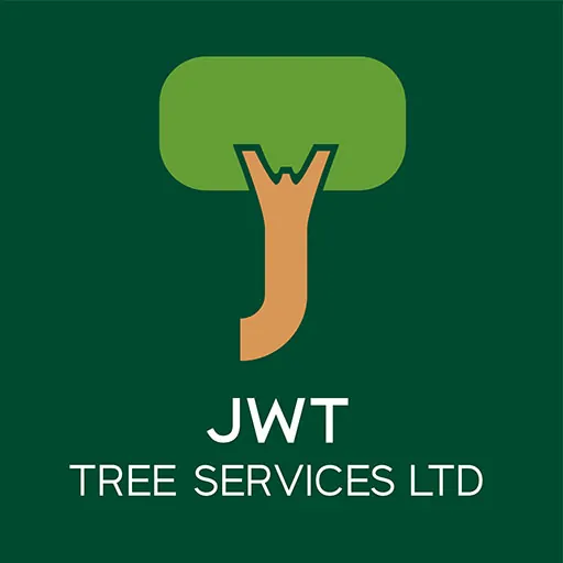 JWT logo